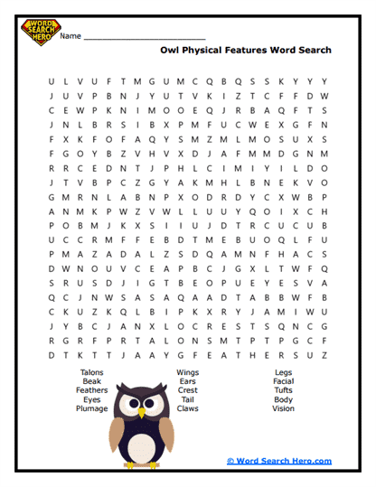 Owl Word Searches