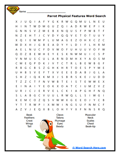 Parrot Word Searches