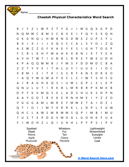 Speedy Spots Word Search