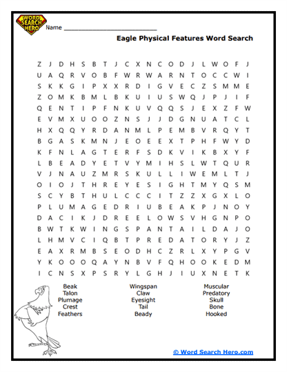 Sky Hunters Word Search