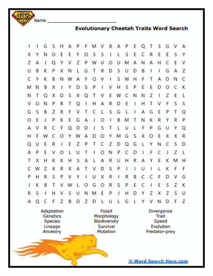 Evolution Sprint Word Search