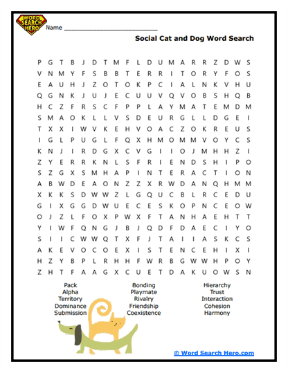 Social Bonds Word Search