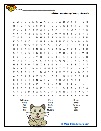 Feline Features Word Search