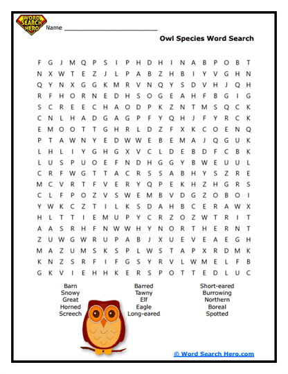 Owl Species Word Search