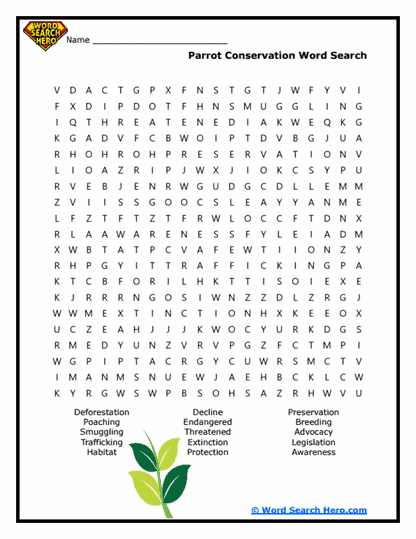 Saving Parrots Word Search