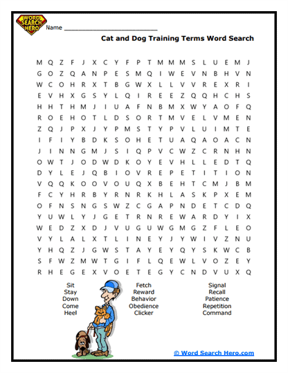 Training Time Word Search