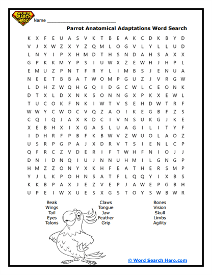 Strong Flyers Word Search