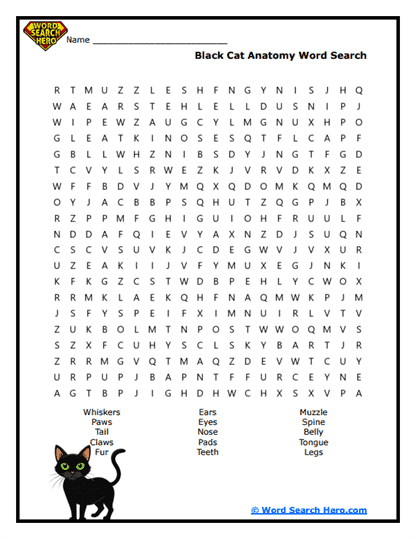 Cat Features Word Search