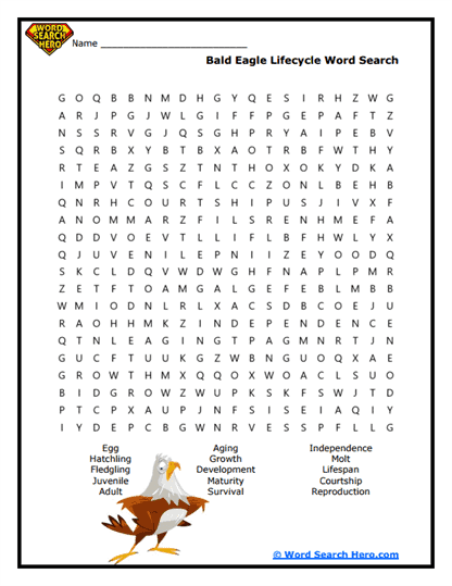 Eagle Word Searches