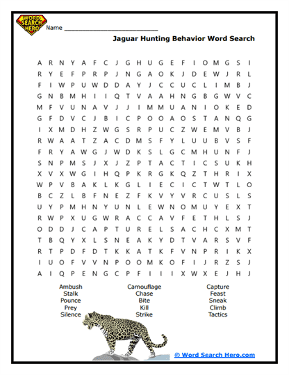 Stealthy Hunters Word Search