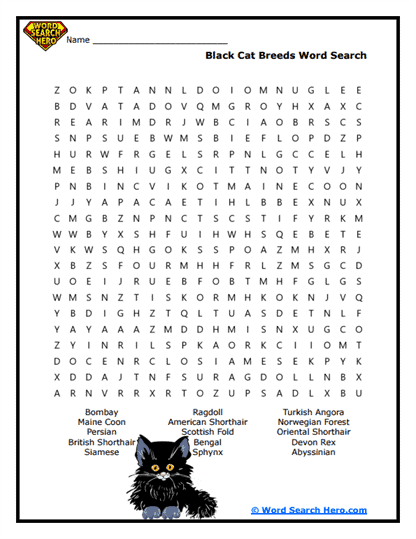 Fancy Felines Word Search