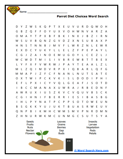 Fruity Feast Word Search