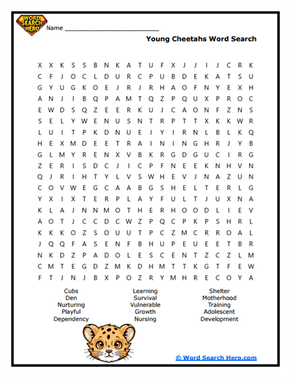 Cheetah Cubs Word Search