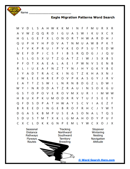 Soaring Journeys Word Search