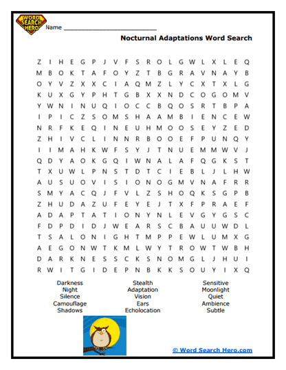 Night Vision Word Search