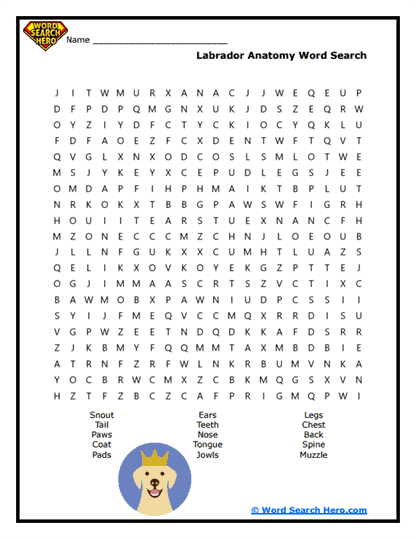 Puppy Parts Word Search