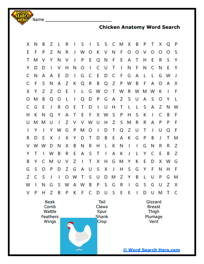 Chicken Farming Word Search