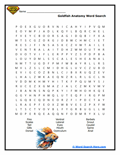 Goldfish Features Word Search