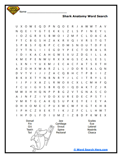 Shark Anatomy Word Search