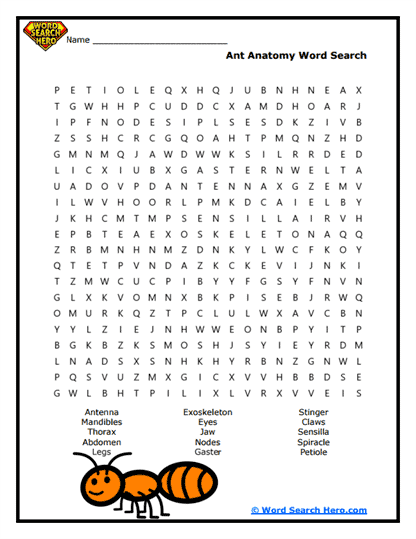 Ant Word Searches