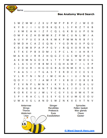 Buzzing Body Word Search