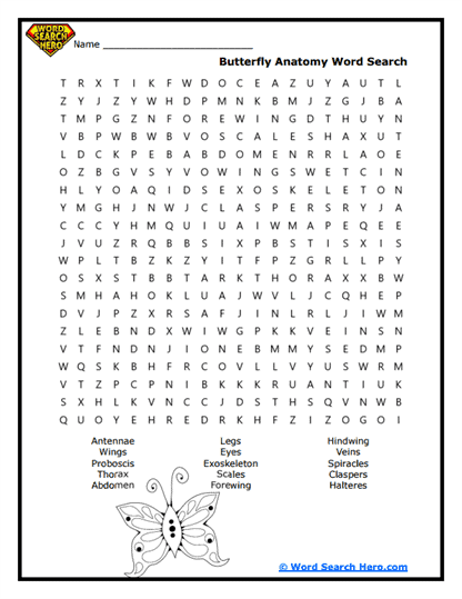 Butterfly Blueprint Word Search