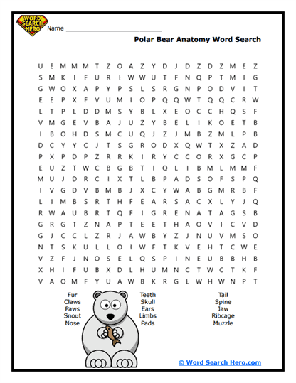 Polar Bear Word Searches