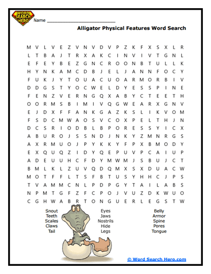 Gator Features Word Search