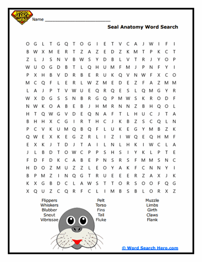 Flipper Friend Parts Word Search