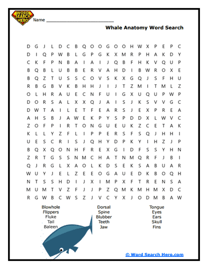 Whale Parts Word Search