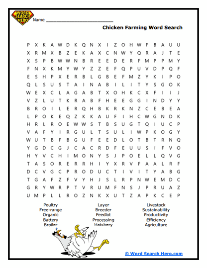 Chick Anatomy Word Search