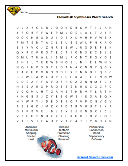 Bubble Bandit Partnerships Word Search