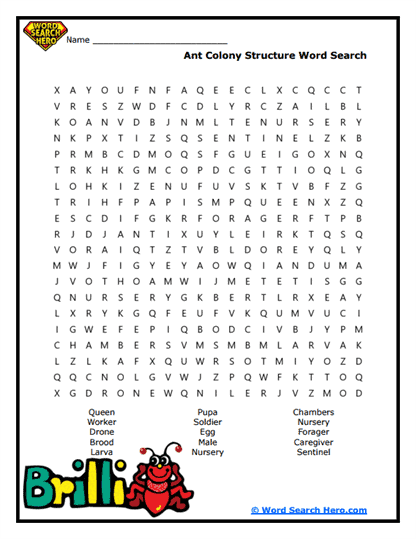 Colonel Colony Word Search