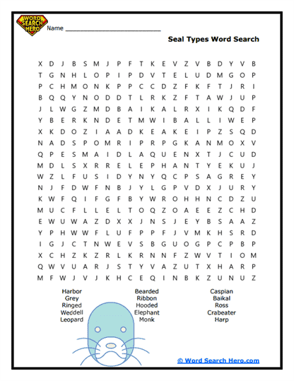 Seal Species Word Search