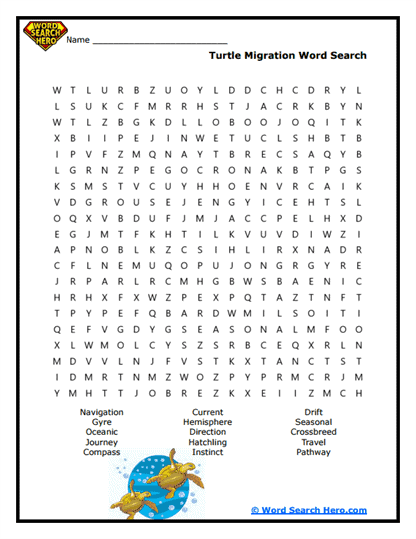 Travel Routes Word Search