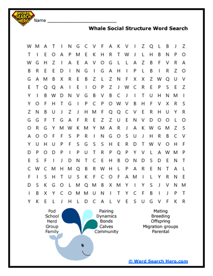 Whale Society Word Search