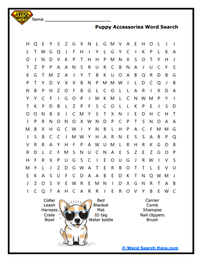 Puppy Essentials Word Search