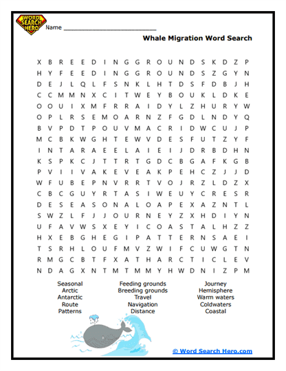 Current Cruiser Word Search