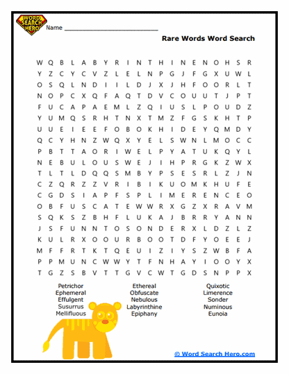 Rare Words Word Search