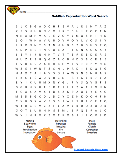 Fish Word Searches