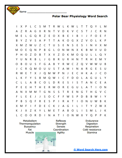 Polar Bear Physiology Word Search