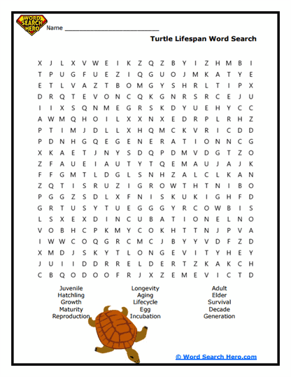 Turtle Lifespan Word Search