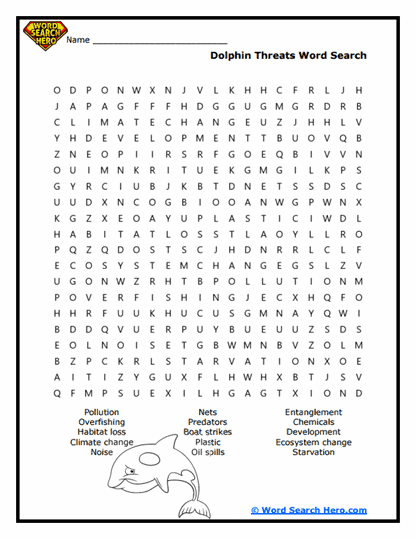 Danger Zone Dolphins Word Search