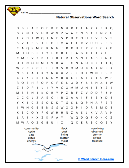 Nature Notions Word Search