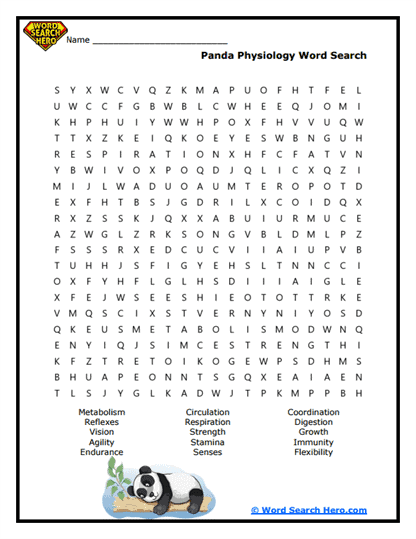 Bamboo Chomper Physiques Word Search