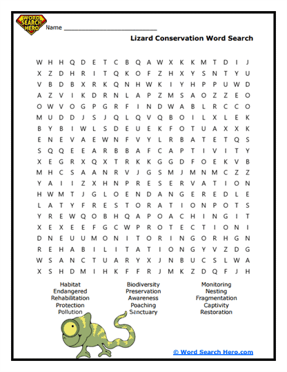 Mini Dragon Conservation Word Search