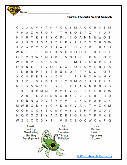 Shelly Survival Risks Word Search