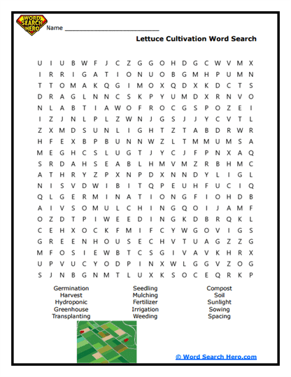 Lettuce Growth Word Search