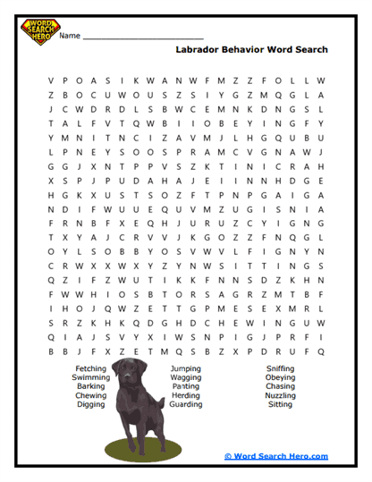 Labrador Retriever Word Searches