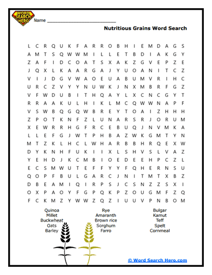 Grain Explorer Word Search